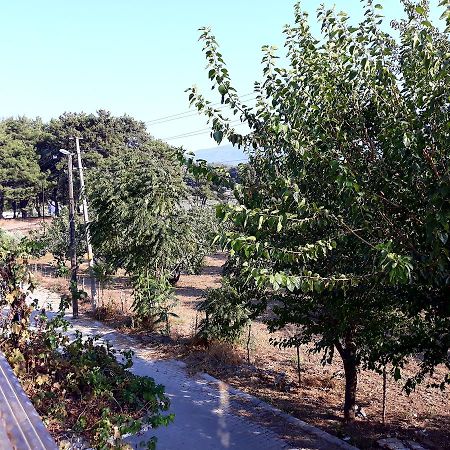 Can Efes Hotel Selçuk Esterno foto