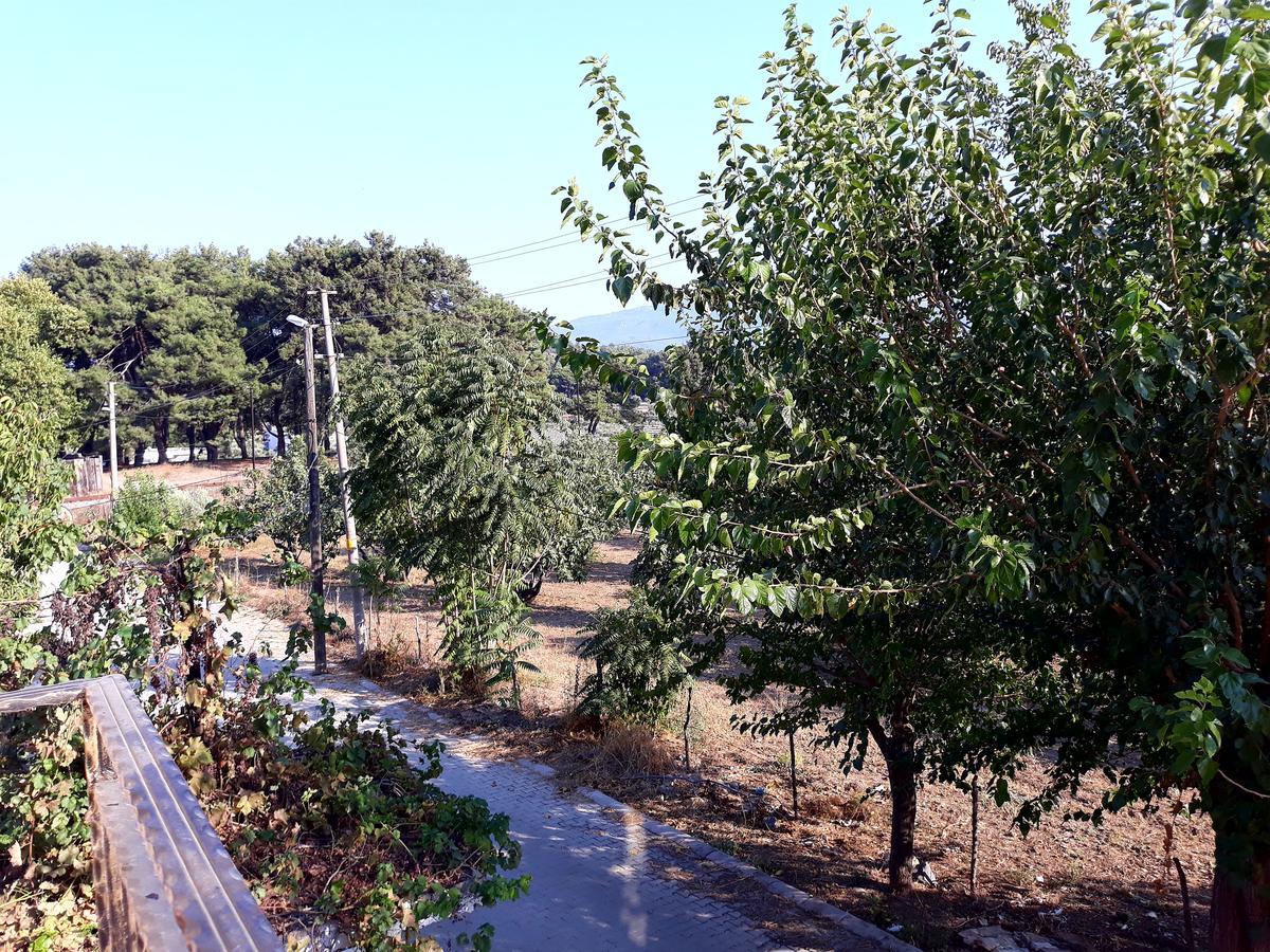 Can Efes Hotel Selçuk Esterno foto
